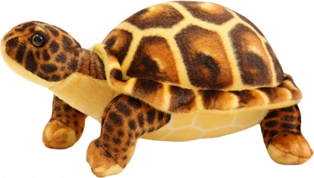 Plüschbraune Schildkröte 25 cm