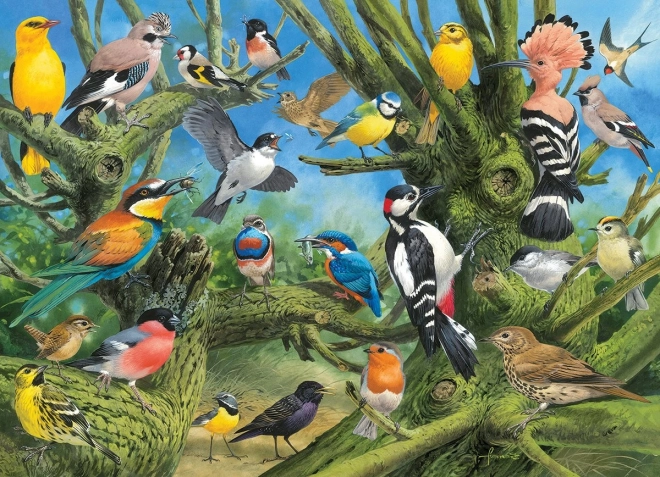Eurographics Puzzle Vögel im Garten 1000 Teile