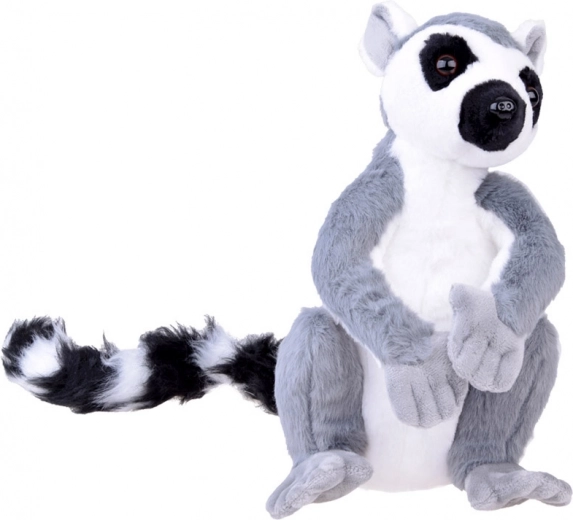 Realistische Details des Lemurs
