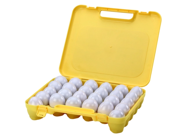 Praktische tragbare Koffer-Tasche