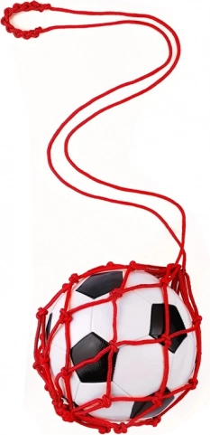Fußballtrainer