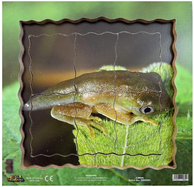 Holzpuzzle Just Jigsaws Frosch Lebenszyklus