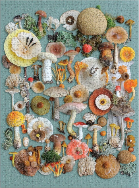 GALISON Puzzle Ernte 1000 Teile