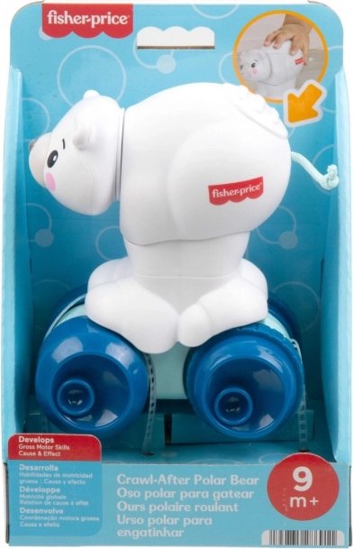 Interaktiver Krabbel-Teddybär von Fisher-Price