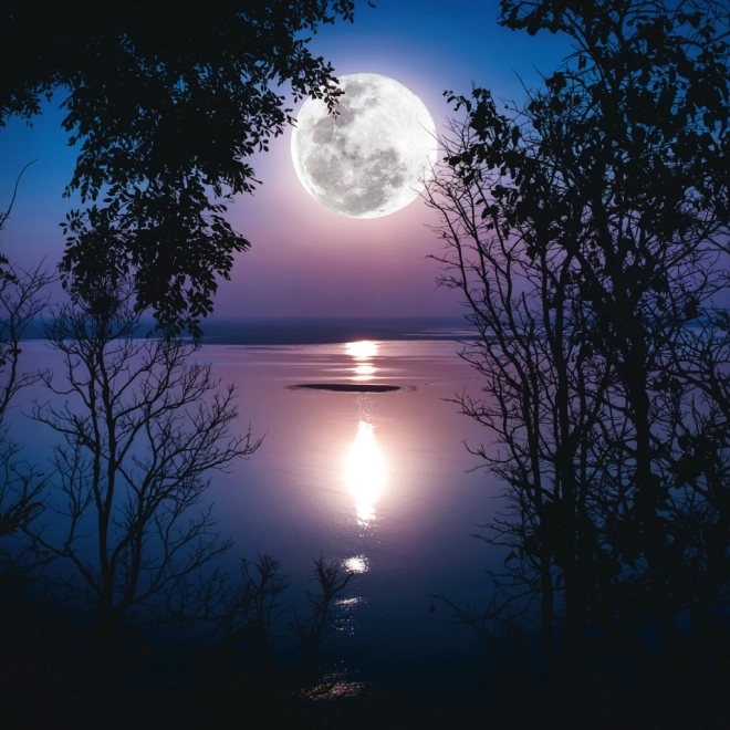 Notizkalender Mond 2026