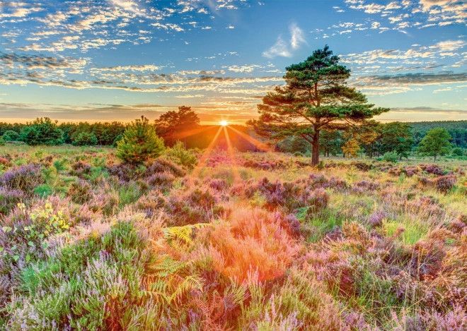 SCHMIDT Puzzle Sonnenuntergang auf der Heide 1000 Teile