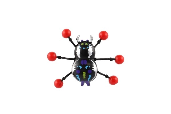 Spinne kriecht an Glas