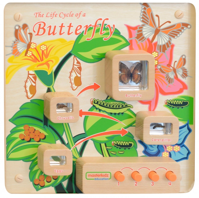 Masterkidz Lernwand Lebenszyklus Schmetterling