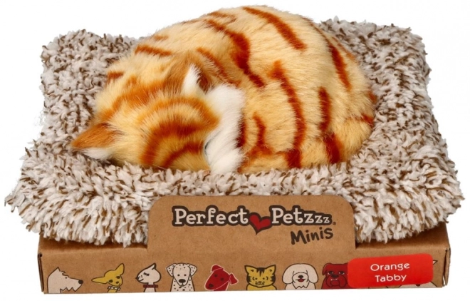 Perfect Petzzz Kleiner Gestreifter Roter Kätzchen
