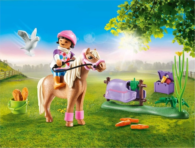 Playmobil Islandisches Pony Set