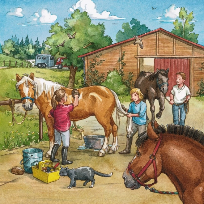 Ravensburger Puzzle Ein Tag bei den Pferden 3×49 Teile