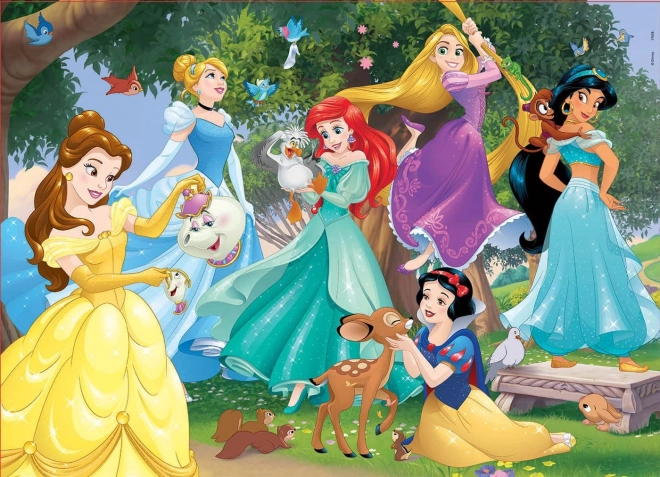 Holzpuzzle Disney Prinzessinnen