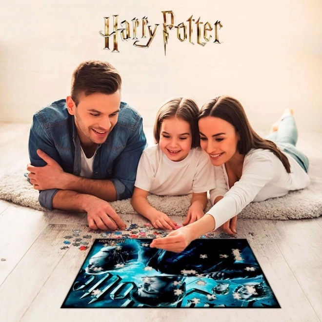 3D Puzzle Harry Potter Gryffindor 500 Teile