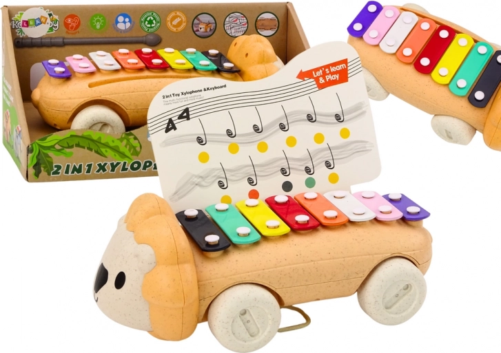 Löwen-Becken auf Rädern Buntes pädagogisches Kinderinstrument