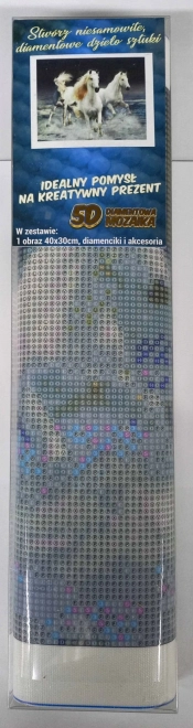 Diamant-Malerei Galoppierende Schimmel 30x40 cm