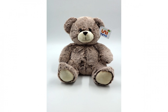 Plüsch Teddybär Eco-Friendly 28 cm