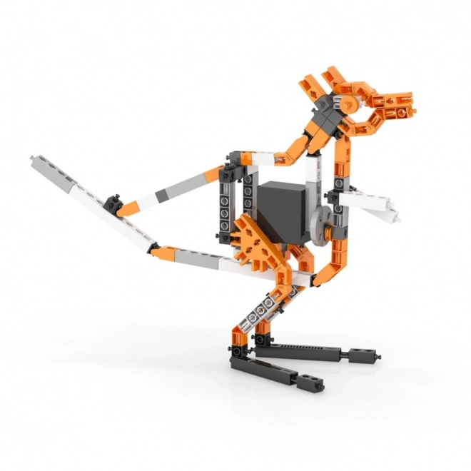 Engino Konstruktionsset Creative Builder Multimodelle