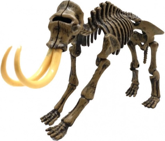 Realistisches 3D‑Mammutskelett