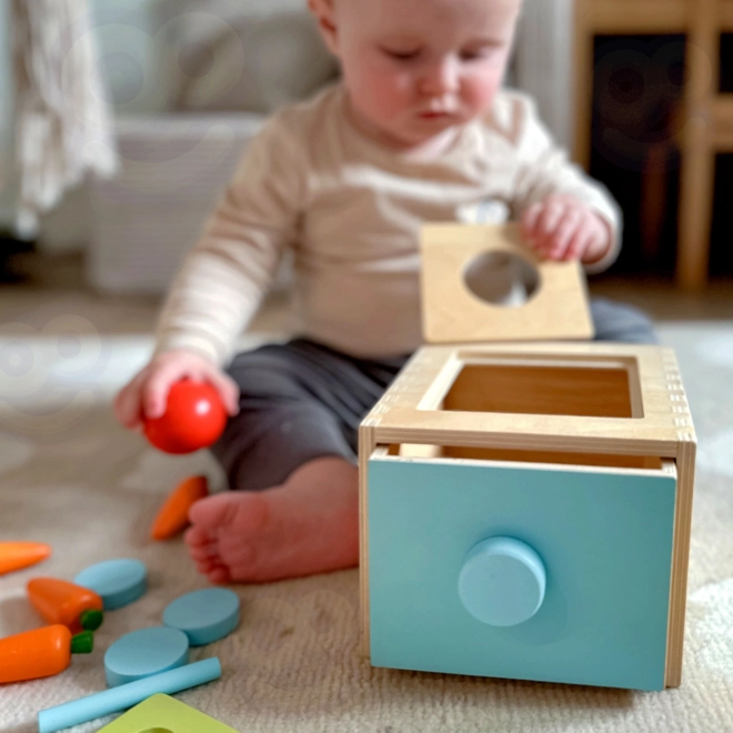 Woopie Green Holzpädagogisches Sortierspielzeug Montessori mit Schublade