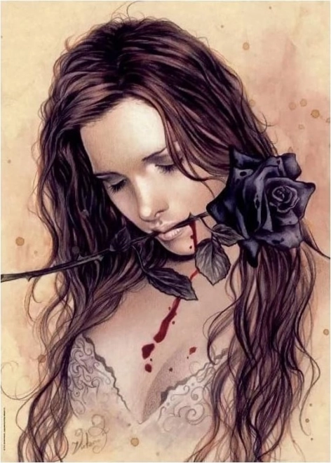 Heye Puzzle Favole: Dunkle Rose 1000 Teile