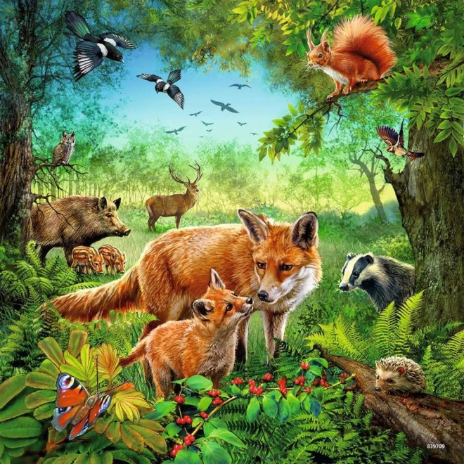 Leuchtende Farben und detaillierte Illustrationen