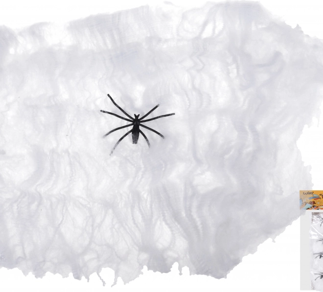 Karneval-Set Spinnennetz mit Spinne
