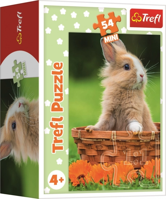 Minipuzzle mit Tierbabys in 4 Designs