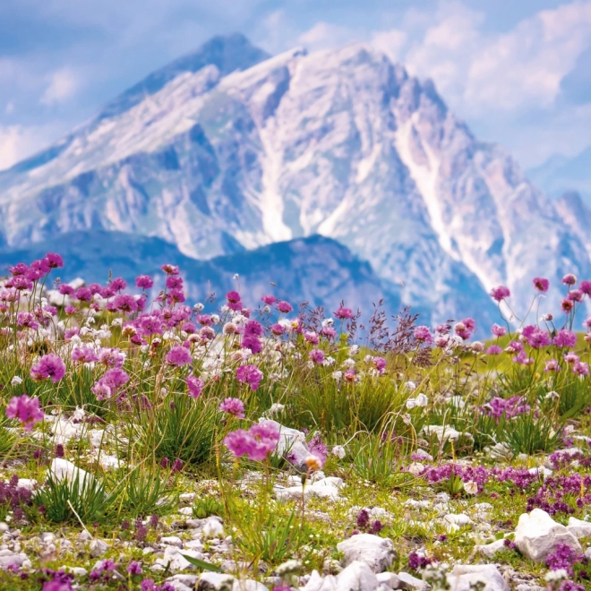 Notizkalender Alpen 2026