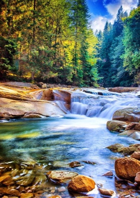Puzzle Schöner Wasserfall im Wald 2000 Teile