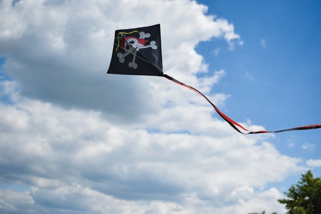 Stabiler Flug auch bei wechselhaftem Wind