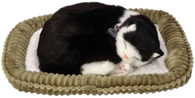 Interaktives Spielzeug Perfect Petzzz schwarz-weiß Katze