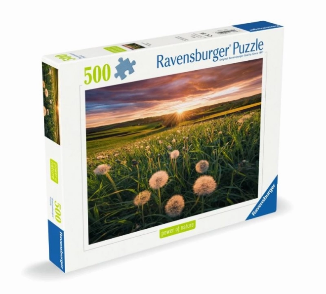 Puzzle Ravensburger Löwenzahn bei Sonnenuntergang 500 Teile