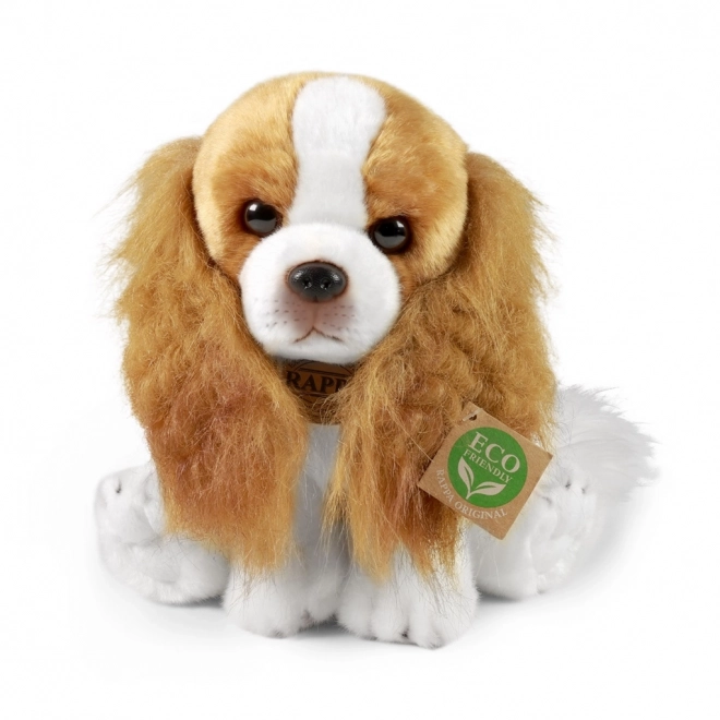 Plüschhund Cavaliere King Charles Spaniel