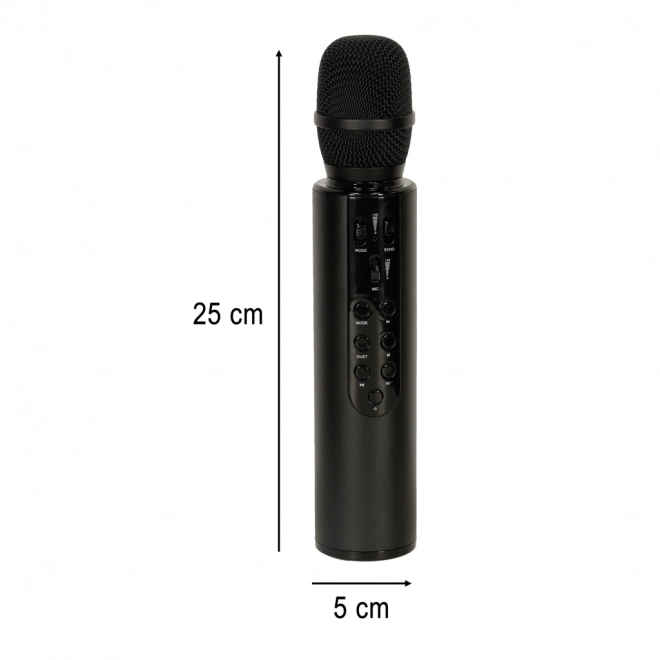 Karaoke drahtloses Bluetooth-Mikrofon schwarz – Schwarz