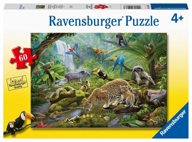 Ravensburger Puzzle Tiere im Regenwald 60 Teile