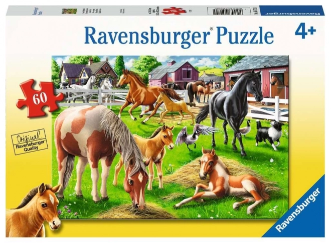 Ravensburger Puzzle Glückliche Pferde 60 Teile