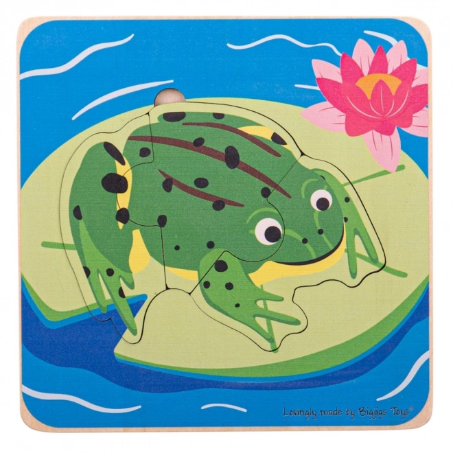 Schichtenpuzzle Lebenszyklen Frosch