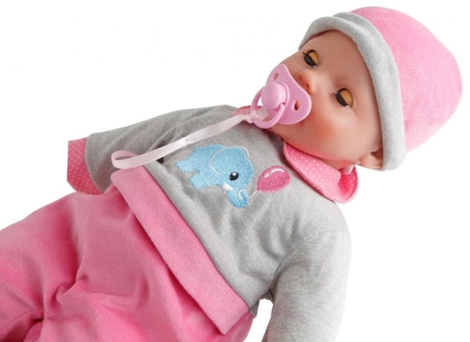 Komplette Accessoires