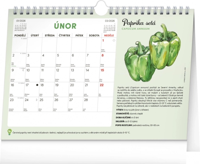 Notique Monatsplaner Kalender mit Samen 2026