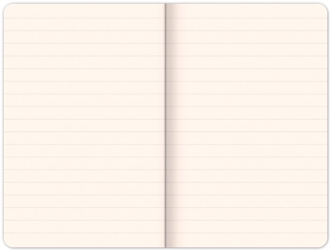 Notique Notizbuch Superman – Weltheld, liniert, 11 x 16 cm