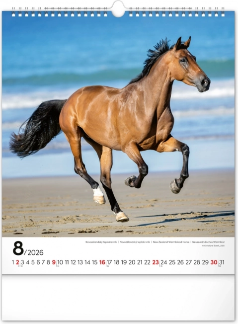 Wandkalender Pferde 2026