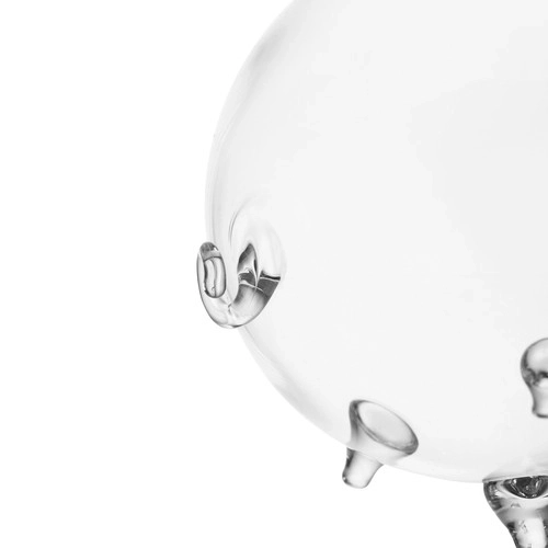 Glassparschwein