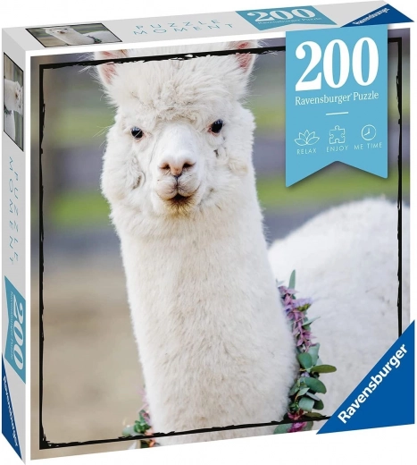 200 Teile mit präzisen Stanzungen