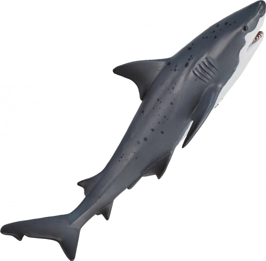 Realistische Details und Farbgebung