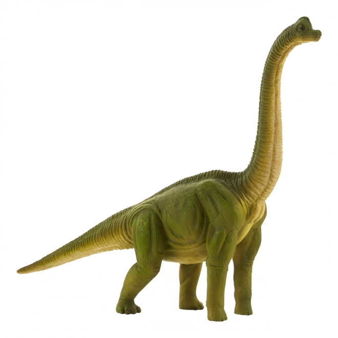 Großer Mojo Brachiosaurus