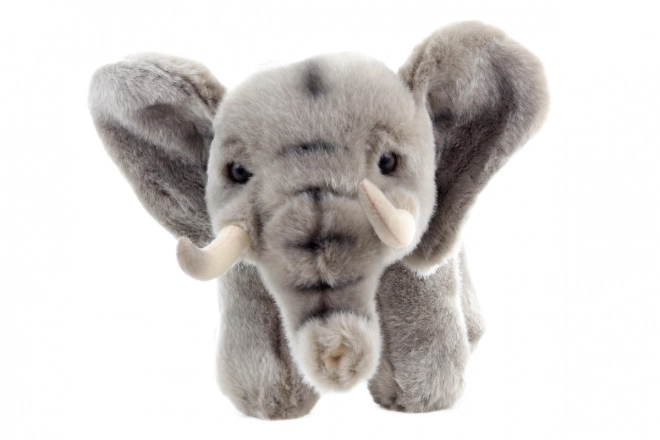 Plüsch-Elefant 30 cm