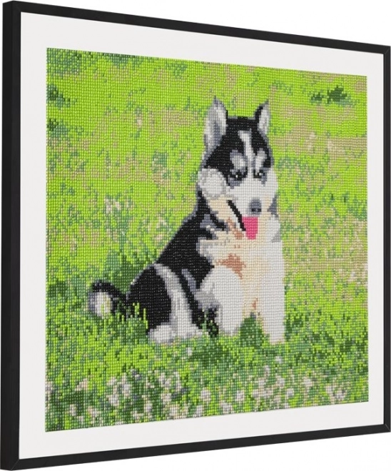 Diamantmalerei Husky 40x50 cm