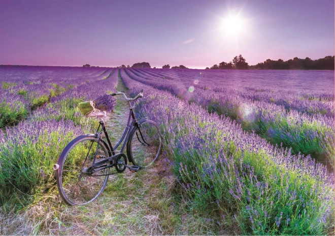 Puzzle Lavendelfeld mit Fahrrad 1000 Teile