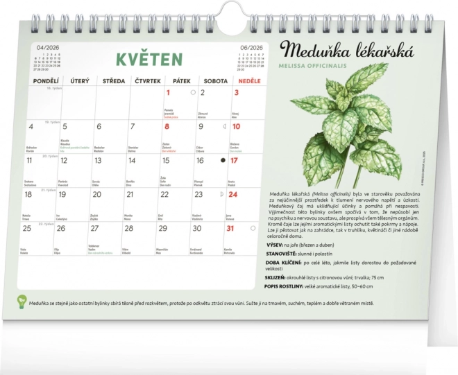 Notique Monatsplaner Kalender mit Samen 2026