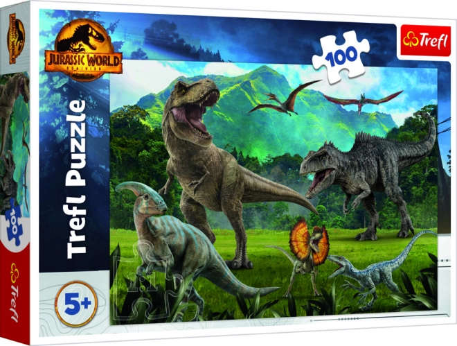 100 Teile für smartes Puzzeln